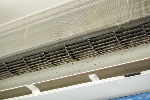 Best Residential Air Duct Cleaning  in Williamsburg, FL