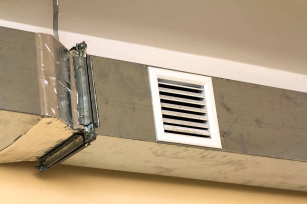 Best HVAC Duct Inspection Services  in Williamsburg, FL